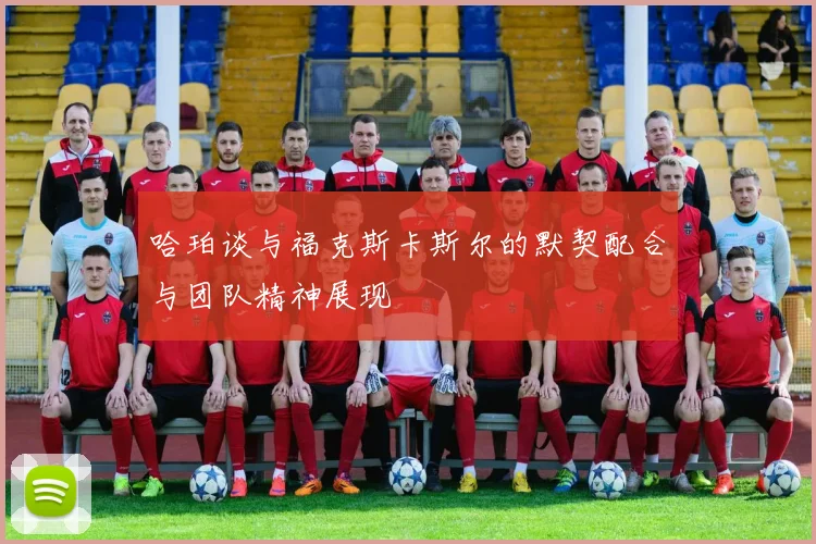 哈珀谈与福克斯卡斯尔的默契配合与团队精神展现